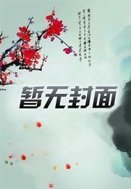 高清音视频转换器